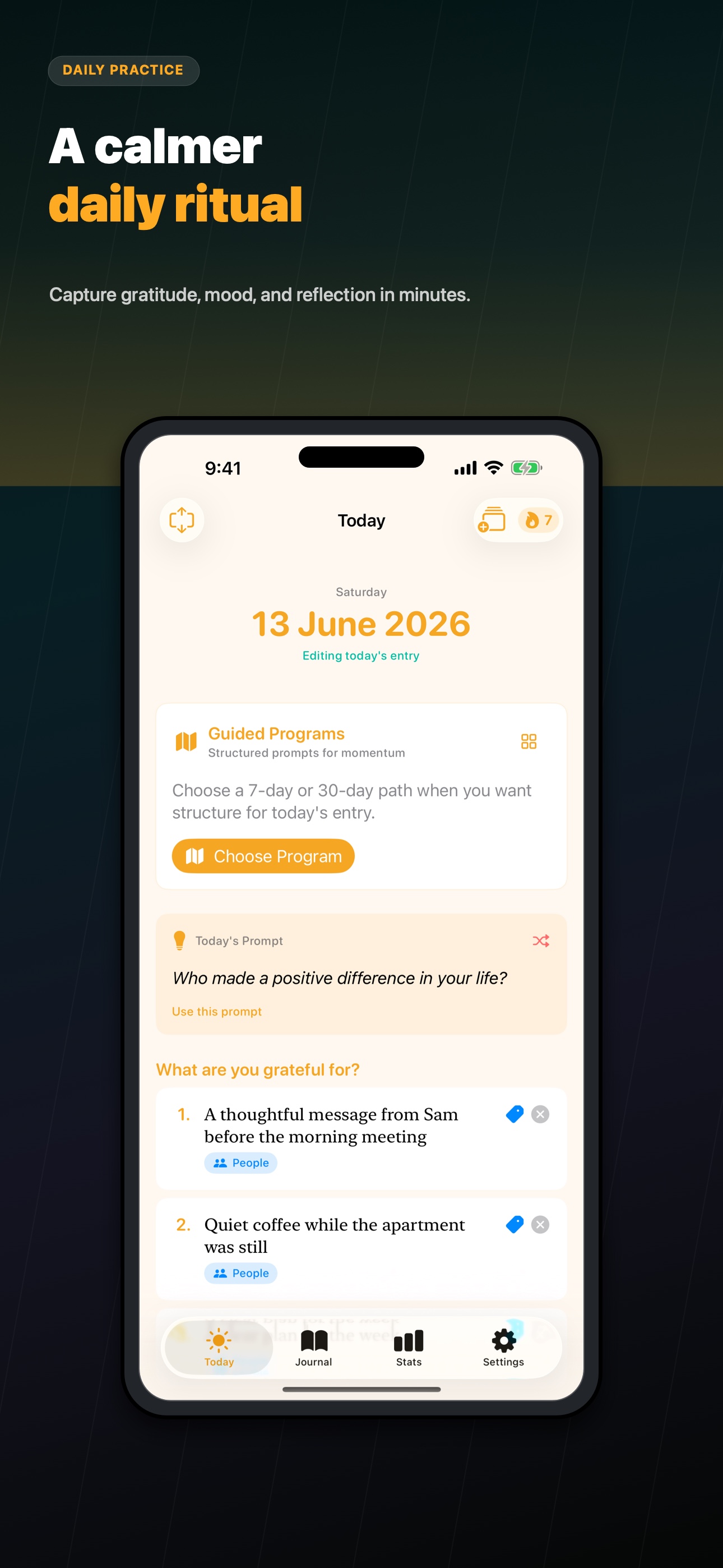 Daily Gratitude iPhone screenshot